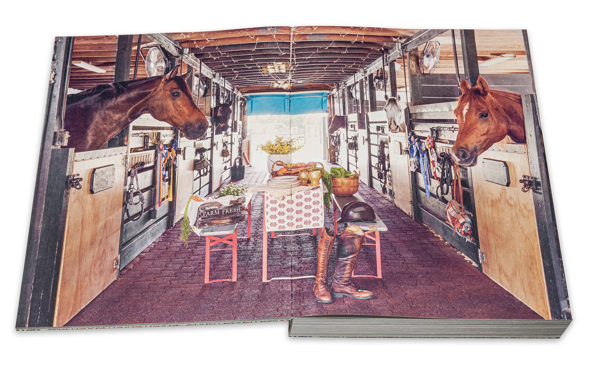 Blue Stallion Farm Lifestyle & Cook Book- Large Coffee Table Size - Stylish In The Saddle