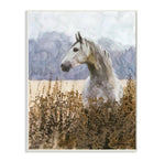 Sterling Grey Horse Flower Field Art
